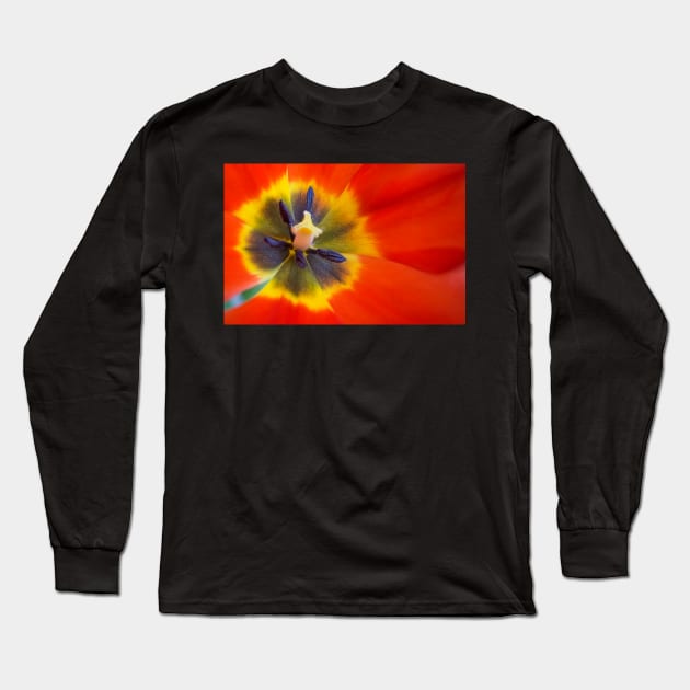 Tulip Greeting Card Long Sleeve T-Shirt by mariola5